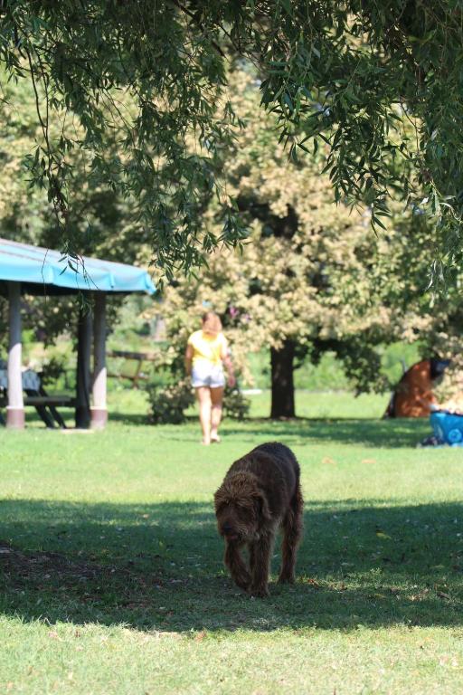 Vonkajšia záhrada v ubytovaní Kormorán Vendégház