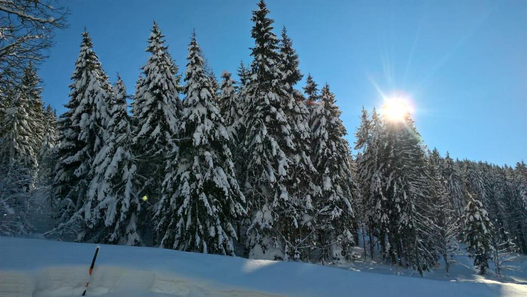 Das Hochkönig v zime