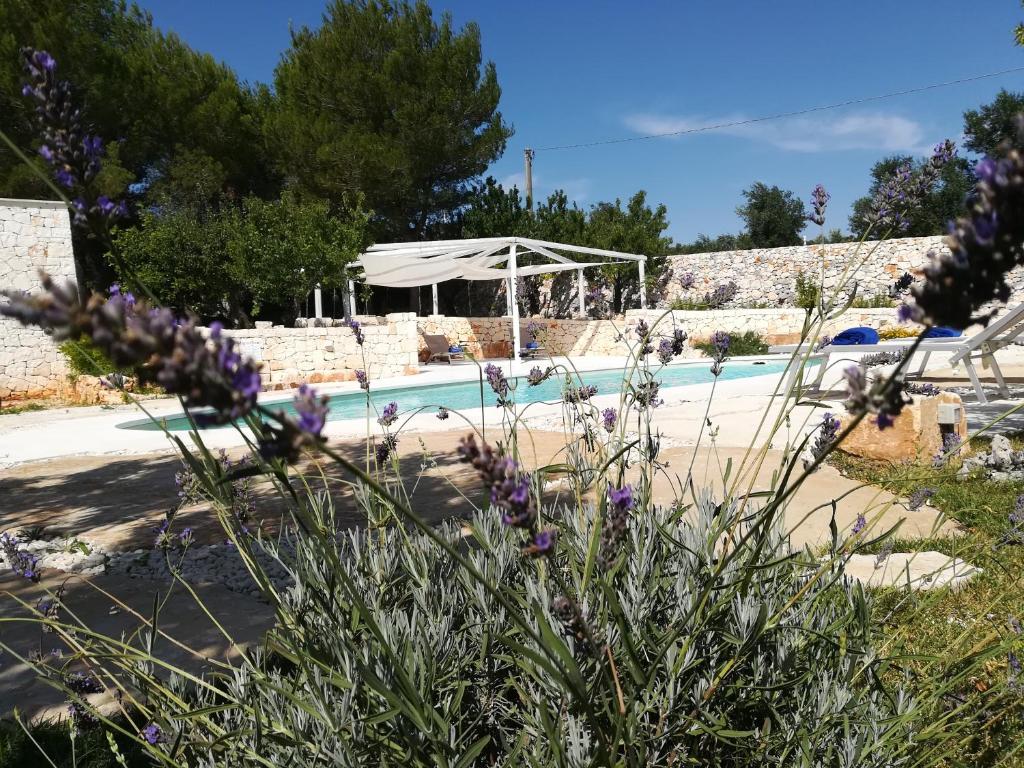 a view of a swimming pool with flowers in the foreground at Dimora Il Mandorlo in Ostuni