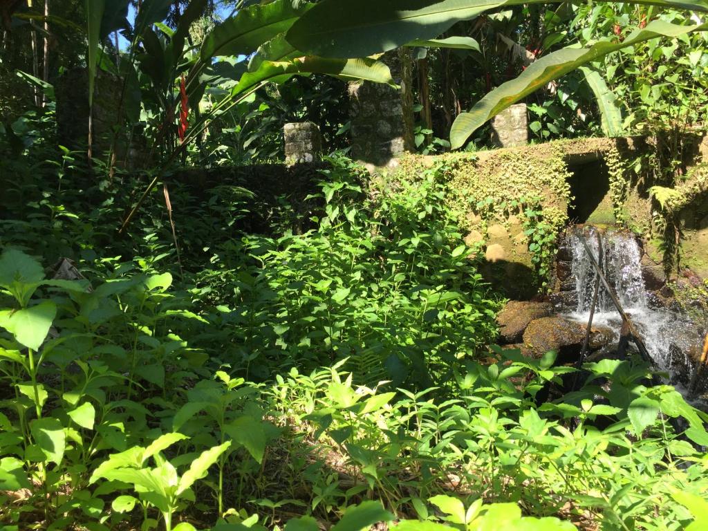  Casa Privativa na Floresta