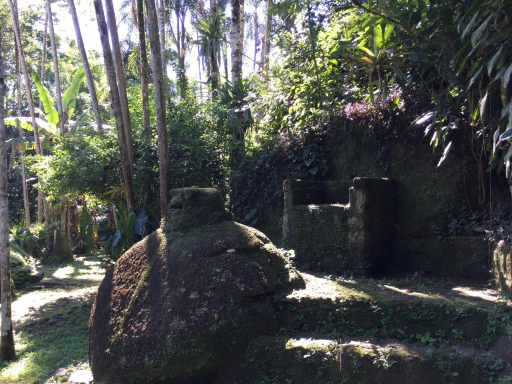  Casa Privativa na Floresta