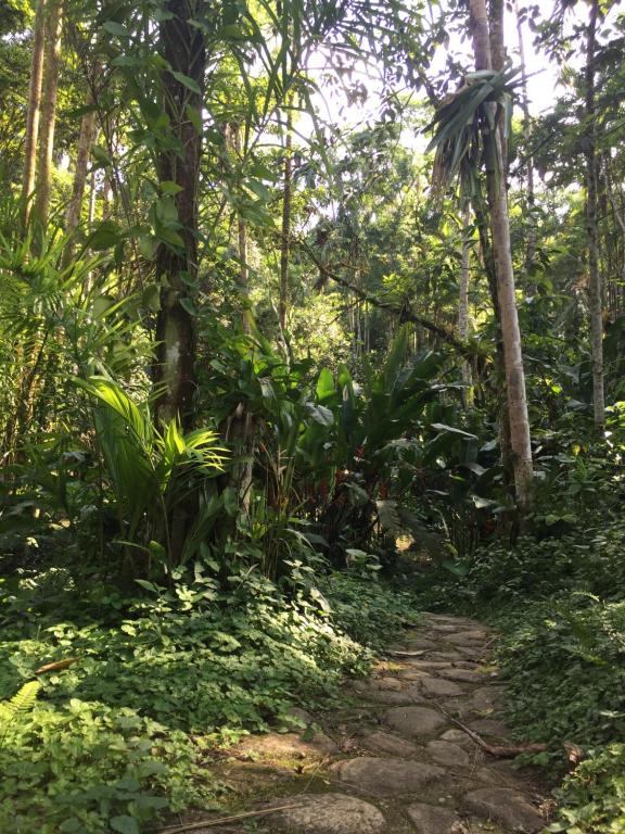  Casa Privativa na Floresta