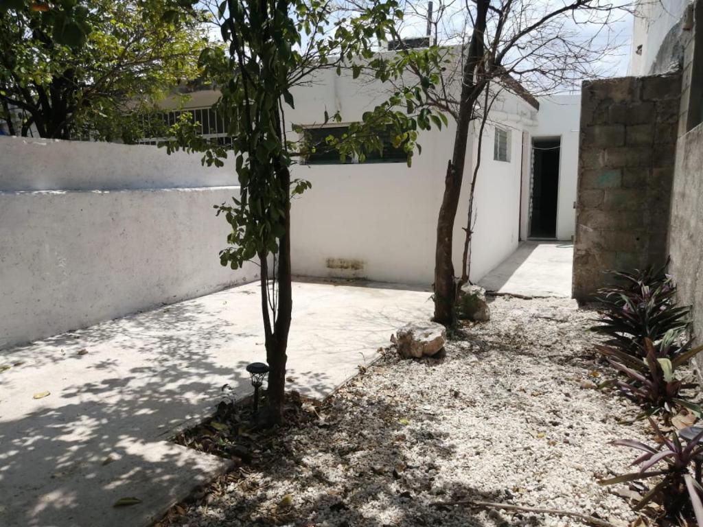 a courtyard with trees in front of a white building at Casa Colonial Centro in Mérida