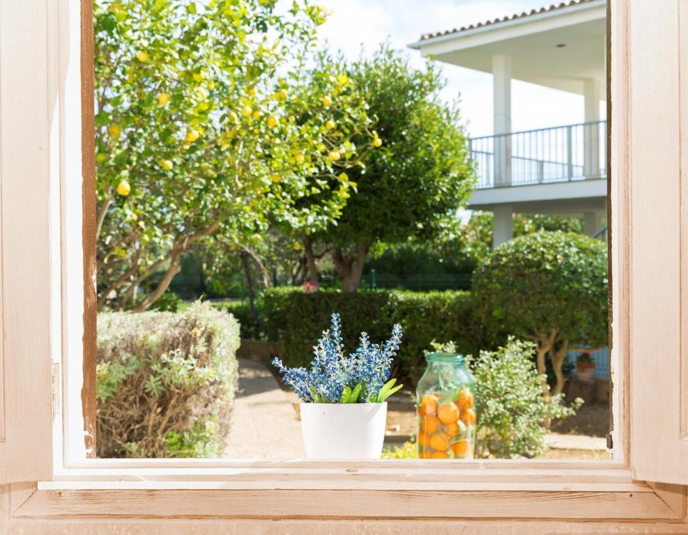 A garden outside 080 Casa Can Xim ETV8770 by Mallorca Charme