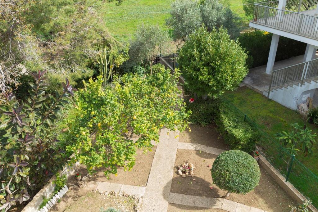 A garden outside 080 Casa Can Xim ETV8770 by Mallorca Charme