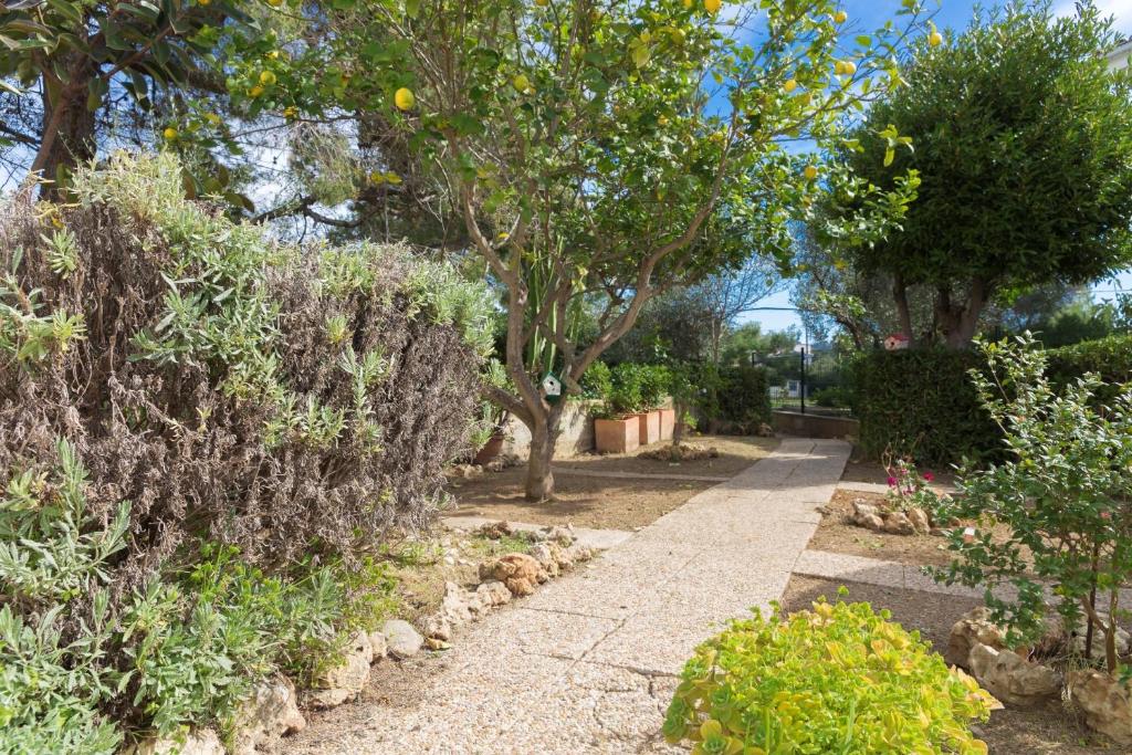 A garden outside 080 Casa Can Xim ETV8770 by Mallorca Charme