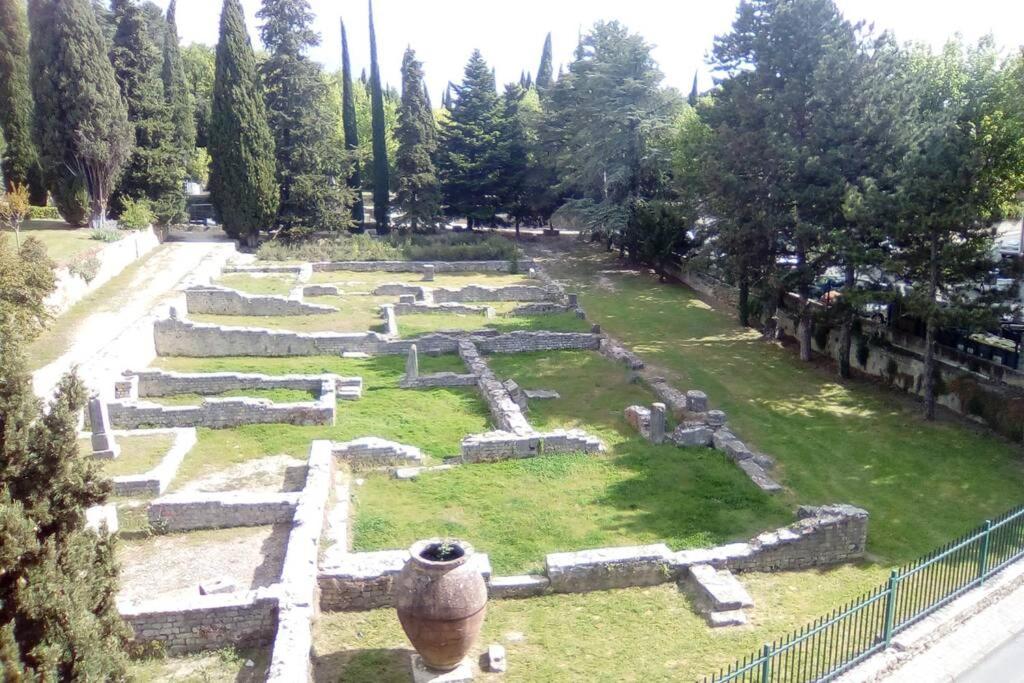 ヴェゾン・ラ・ロメーヌにあるGrande terrasse et vue sur le site antiqueの古代の塀と木の古い庭園