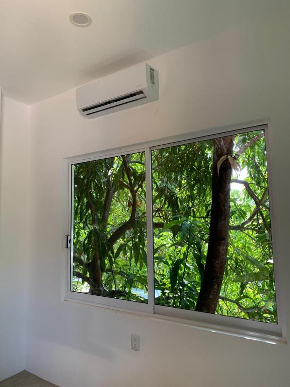 Foto dalla galleria di Paziflora Hostel -STARLINK- a Puerto Escondido