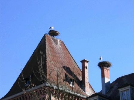 Fotografie z fotogalerie ubytování Auberge Obersolberg v destinaci Eschbach-au-Val
