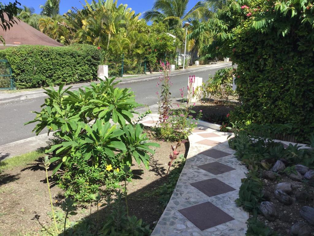 a garden with plants and a road with at Villa Acajou in Saint-François