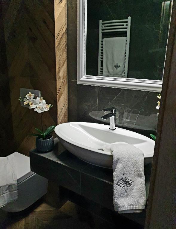 Villa Olimpijska 2 - Centrum - 8