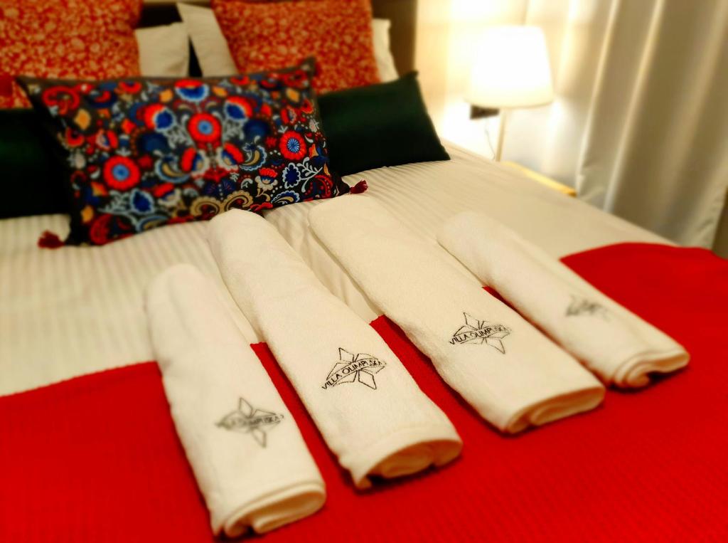 Villa Olimpijska 2 - Centrum - 11