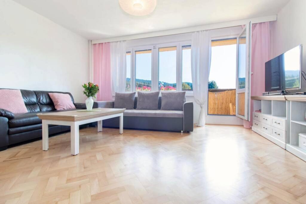 Posezení v ubytování Apartmán Staré Hamry