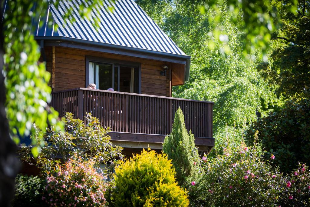 Alpine Lodge Motel - Resim 21