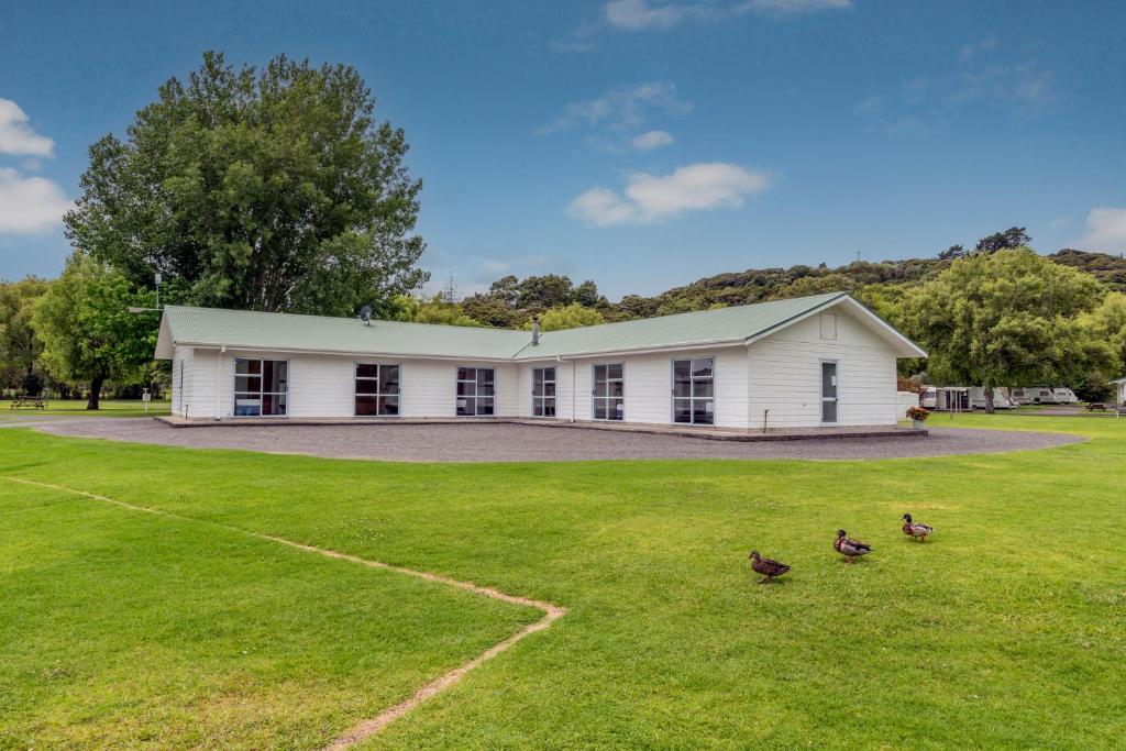 Coromandel Shelly Beach TOP 10 Holiday Park - Resim 30