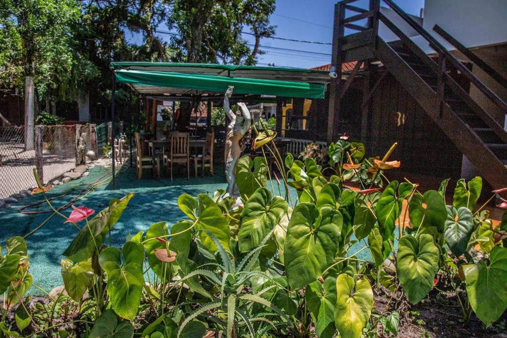 Um jardim em Pousada Bob Pai & Bob Filho