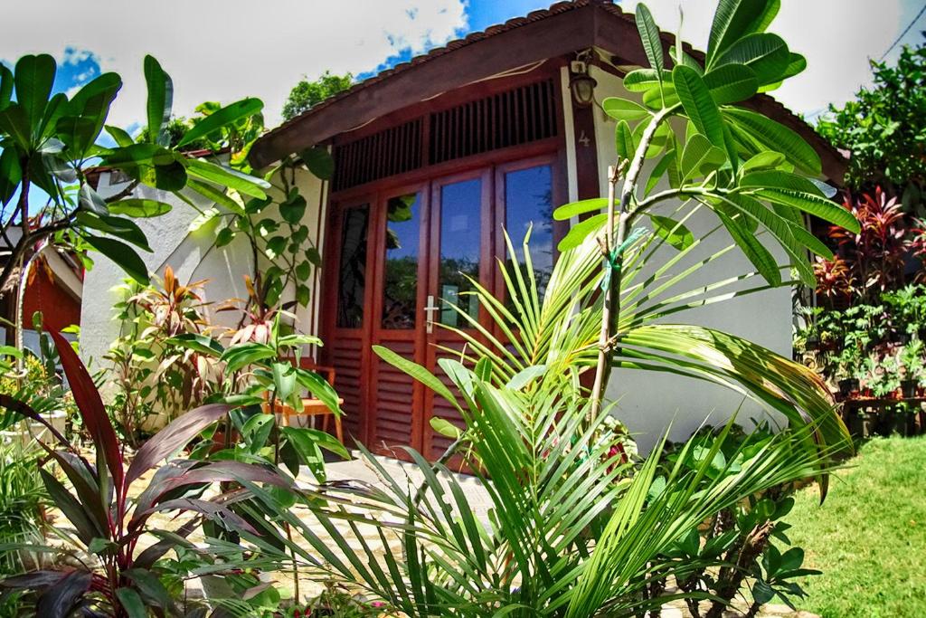 Ayu Hotel Karimunjawa - 12