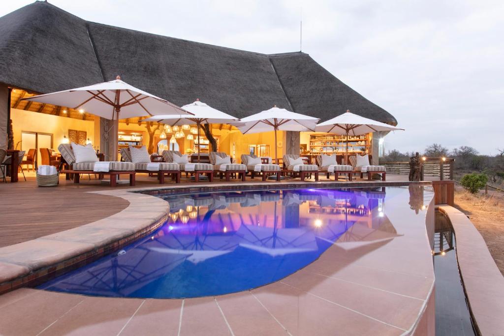 uma piscina de resort com cadeiras e guarda-sóis em Thabamati Luxury Tented Camp em Timbavati Game Reserve