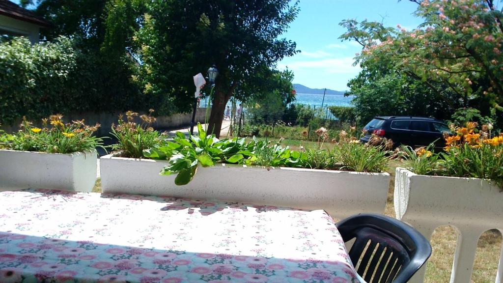 Vrt pred nastanitvijo 2 bedrooms appartement with sea view enclosed garden and wifi at Zadar 3 km away from the beach