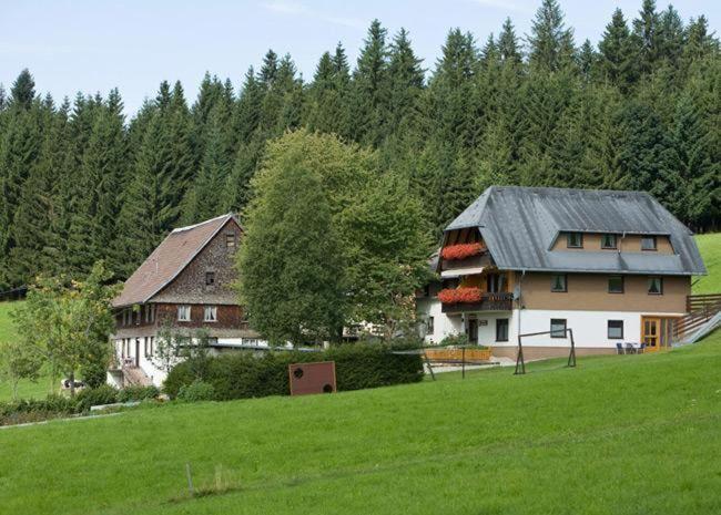 ein großes Haus auf einem Feld mit Bäumen im Hintergrund in der Unterkunft Ferienwohnung Talblick in Titisee-Neustadt