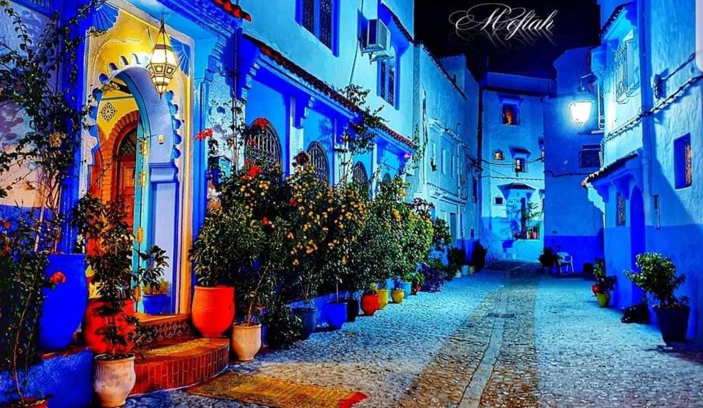 an alley with potted plants and buildings at night at Dar Yakout in Chefchaouene