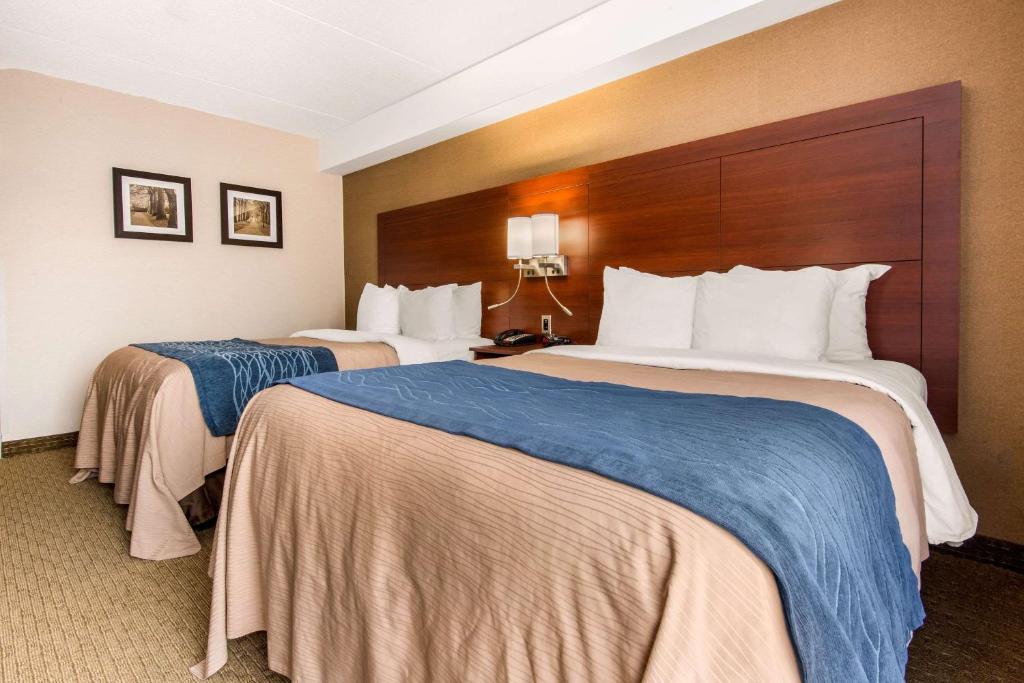 Comfort Inn Airport West - Resim 25