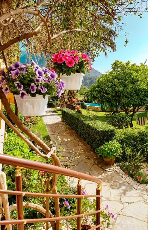 two pots of flowers are hanging from a tree at Papirus Hotel in Adrasan