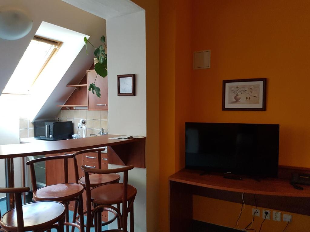 Kuchyň nebo kuchyňský kout v ubytování Hotel Praha