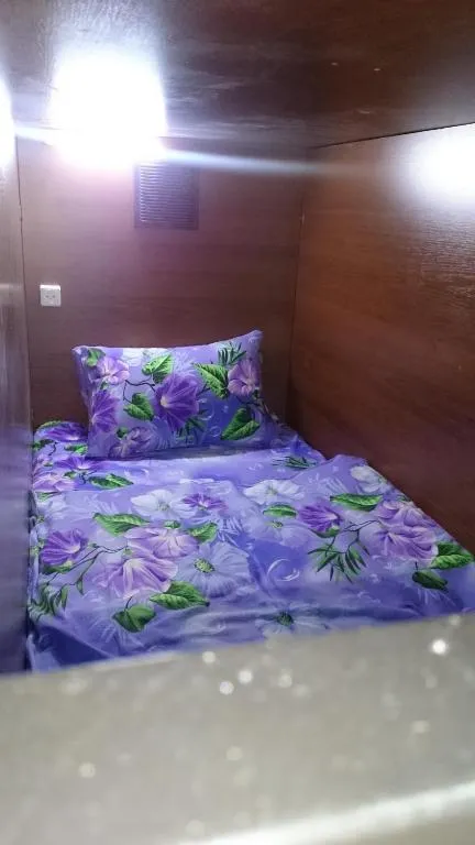 Capsule Mini hotel Livadia, Moscova, Rusia