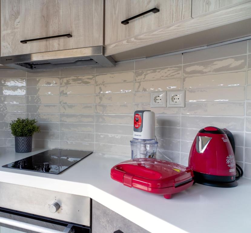 Kuchyň nebo kuchyňský kout v ubytování Salina Premium Residences Volos