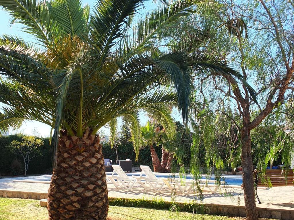 Zahrada ubytování Villa Nerea with air conditioning & private swimming pool only 400m to the beach ideal for families