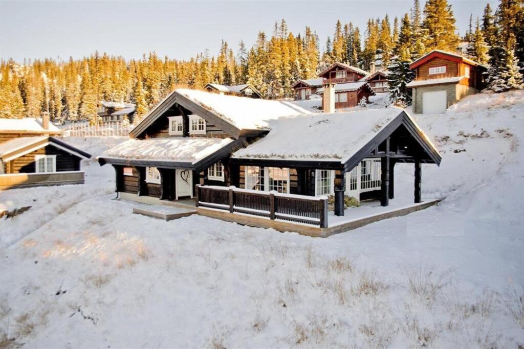 Fantastic cabin on Hafjell ski inout ziemā