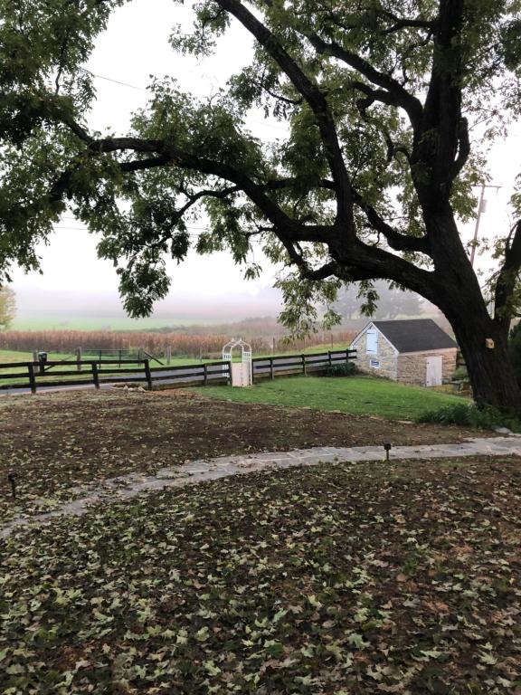 a tree in a field with a fence and a barn at Cider House Bed and Breakfast in Waynesboro