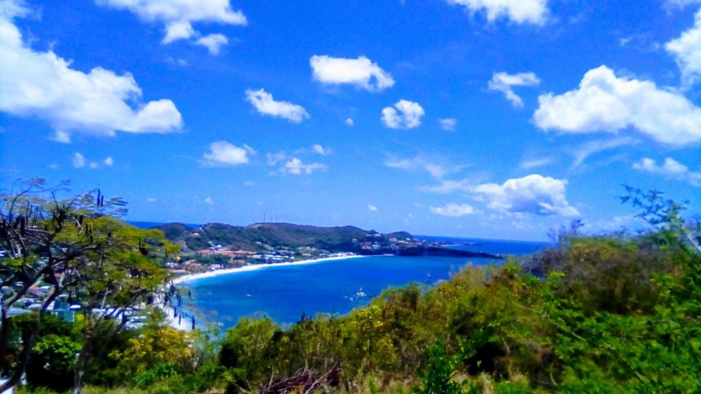 vista su una spiaggia con acqua blu e alberi di Little Palace BNB a Saint George's