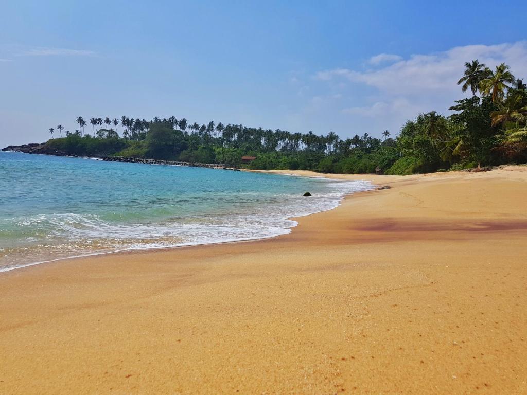 una playa vacía con palmeras y el océano en The Nest en Tangalle