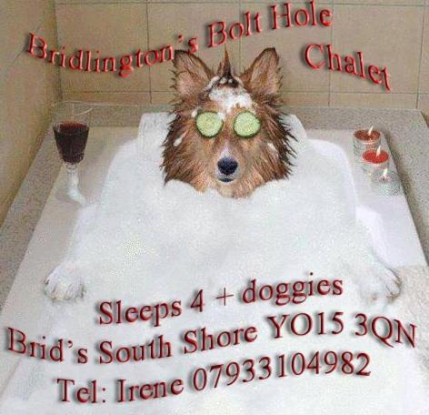 Domácí mazlíčci ubytovaní s hosty v ubytování Bridlington's Bolt Hole chalet
