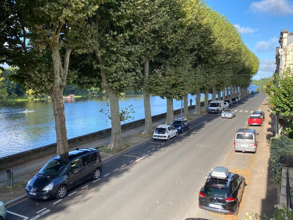 una strada con auto parcheggiate sul lato di un fiume di Le Charles VII CHINON a Chinon