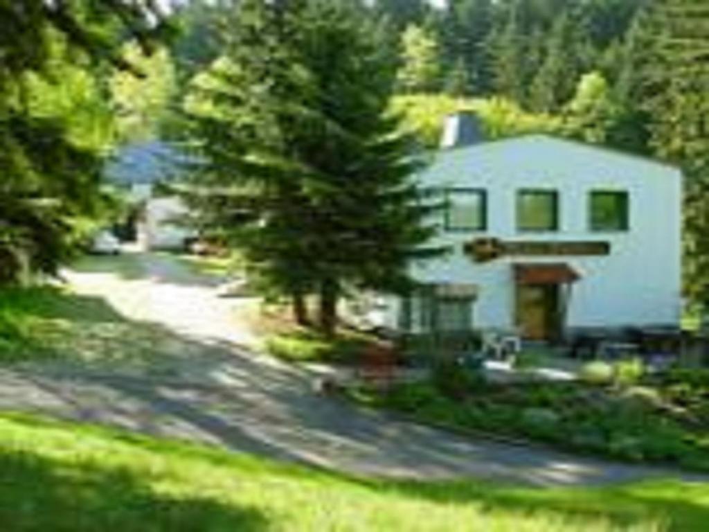 eine Luftansicht eines Hauses mit einem Baum in der Unterkunft Pension Waldidyll in Stützerbach