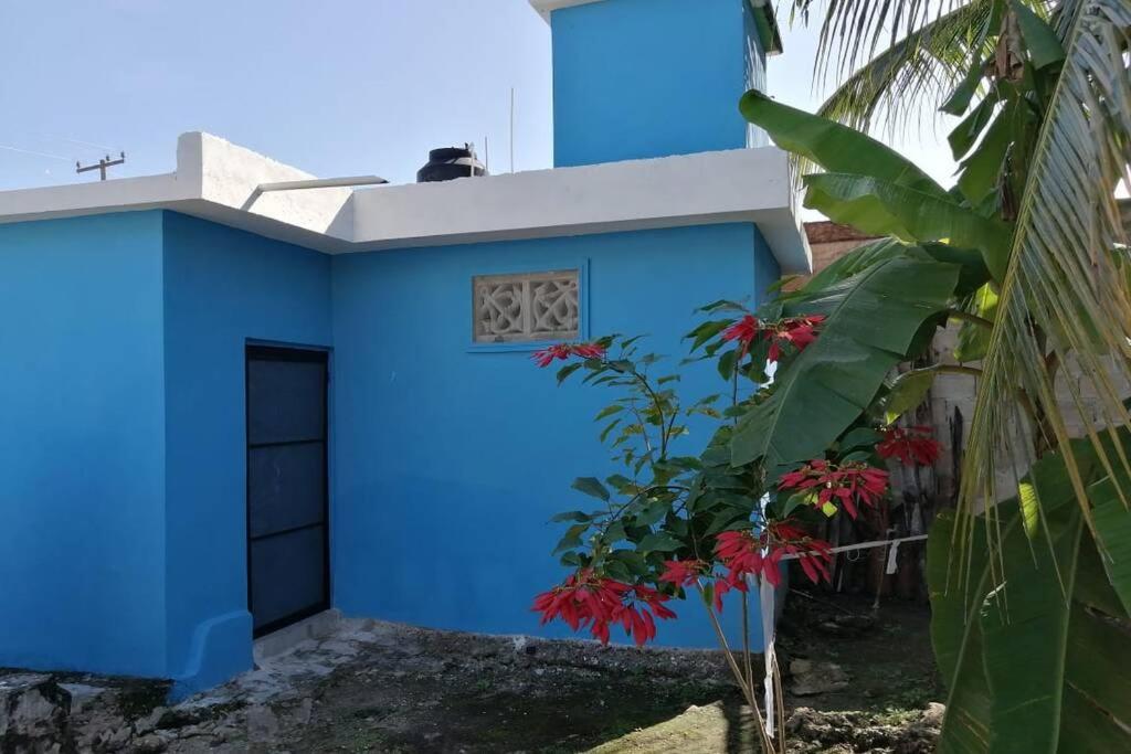 uma casa azul com uma janela e uma planta em Maruchita's room em Bacalar