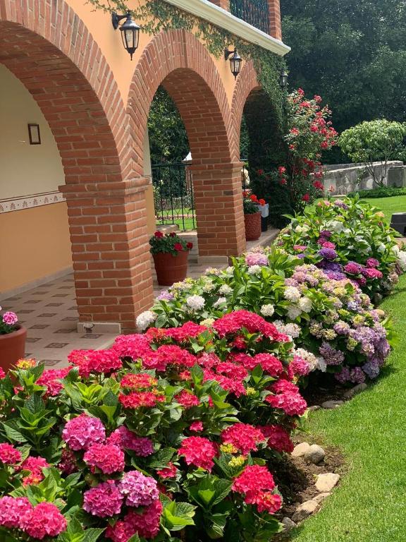 Zahrada ubytování Hotel Real de Huasca
