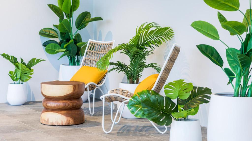 Oaks Cairns Hotel - Resim 20