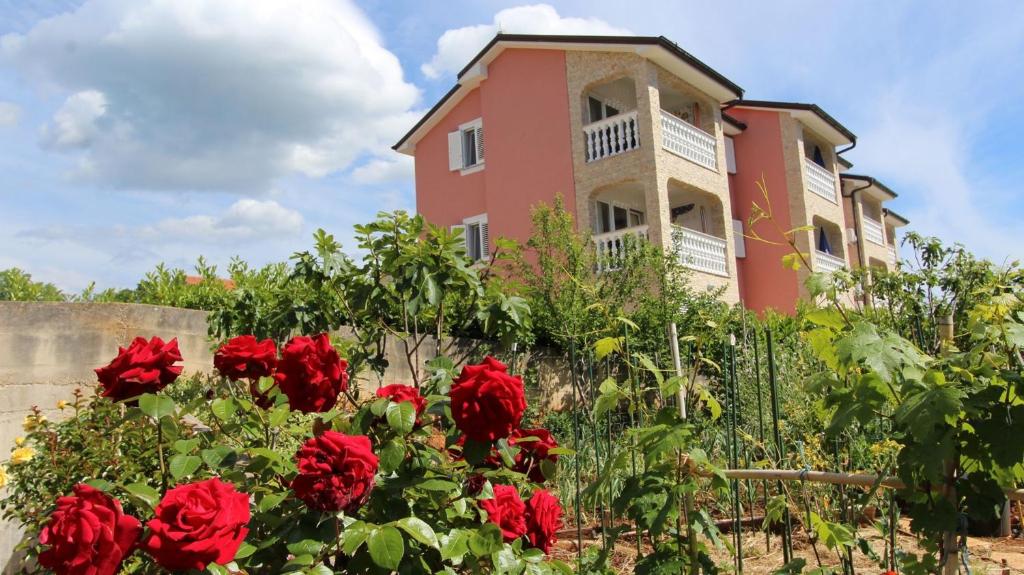 Κήπος έξω από το Apartments Jela