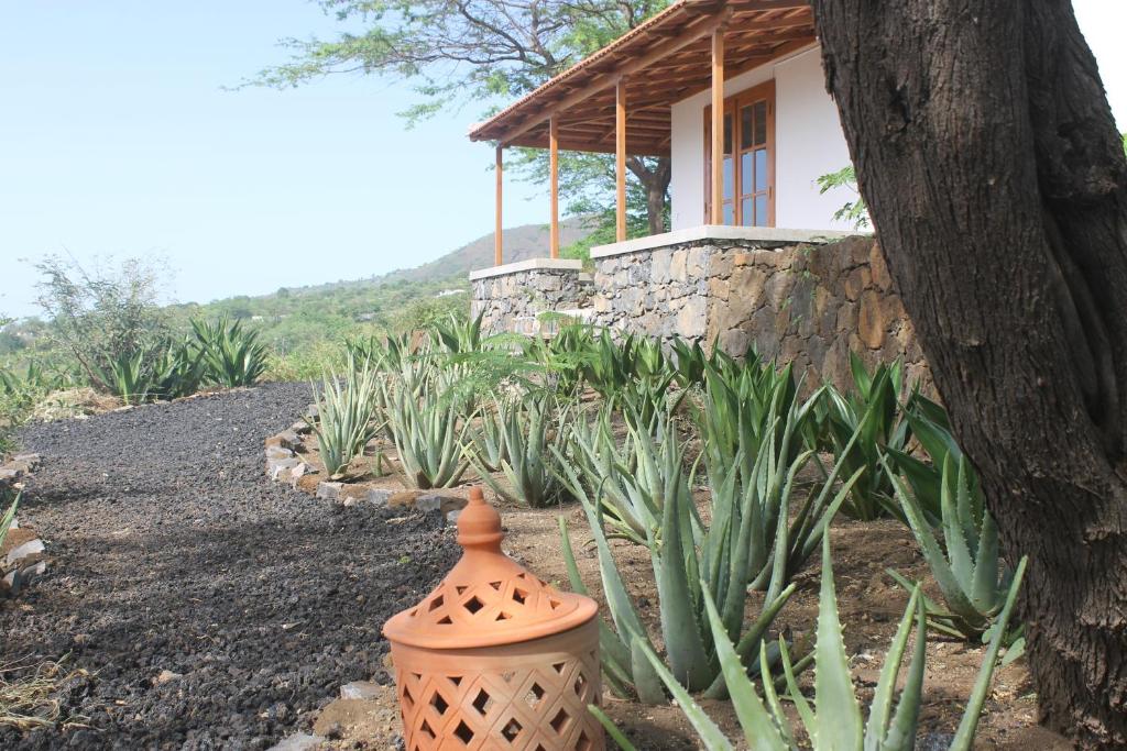 Zahrada ubytování La Fora Ecolodge