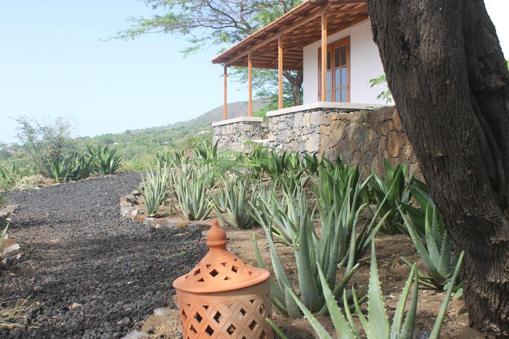 a vase in front of a house with plants at La Fora Ecolodge in São Filipe