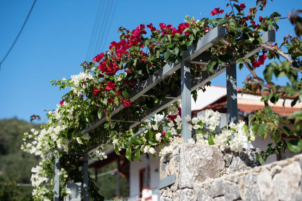 Zahrada ubytování Casa Dell Amore