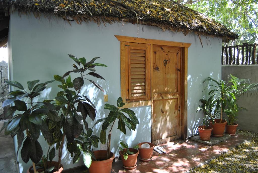Zahrada ubytování Hotel Loro Tuerto
