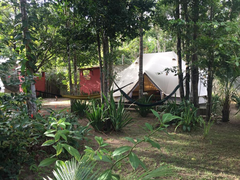  Monkey forest chalé and camping