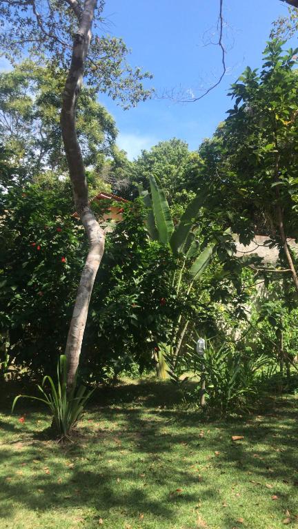  Monkey forest chalé and camping