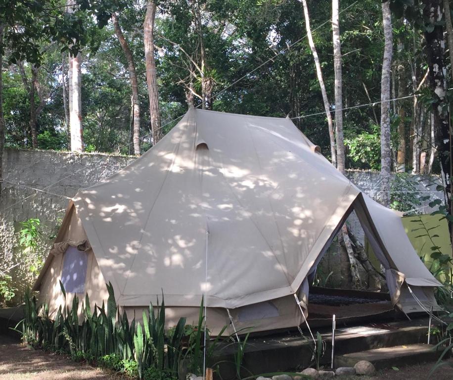  Monkey forest chalé and camping