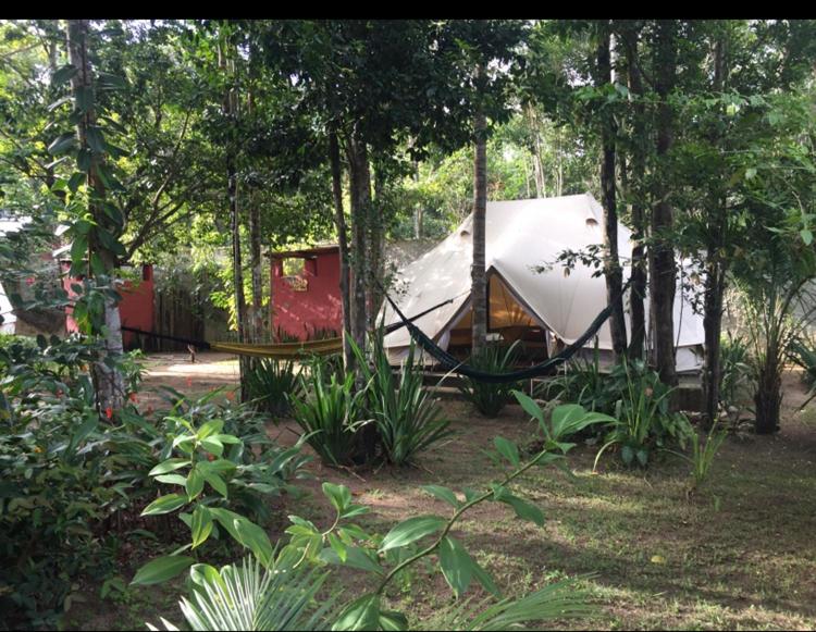  Monkey forest chalé and camping